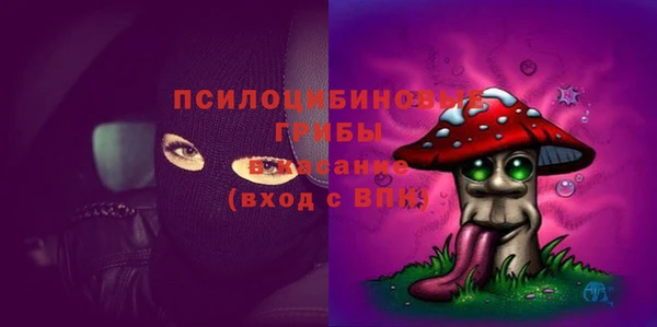прущие грибы Магас